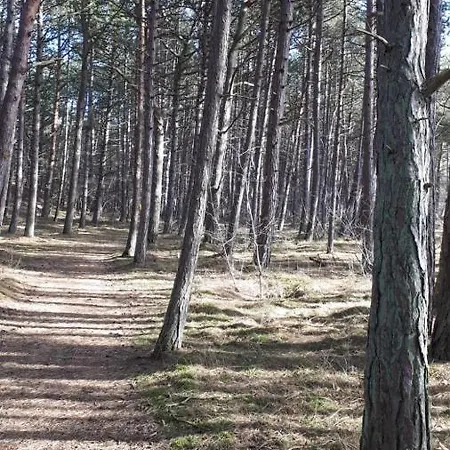 Lux Pearl Apartment *